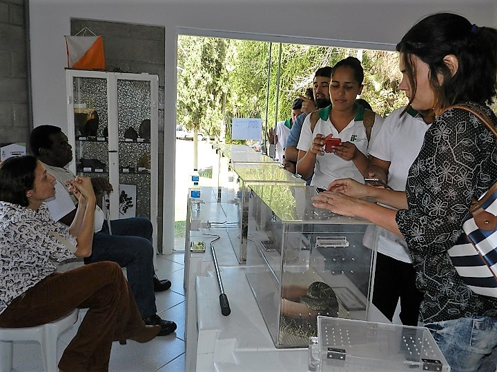 alunos observam animais em caixas plásticas transparentes com supervisão do representante do IVB